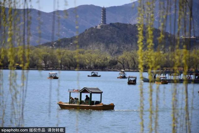 划船、赏花、遇见小动物，尽情享受初夏时光