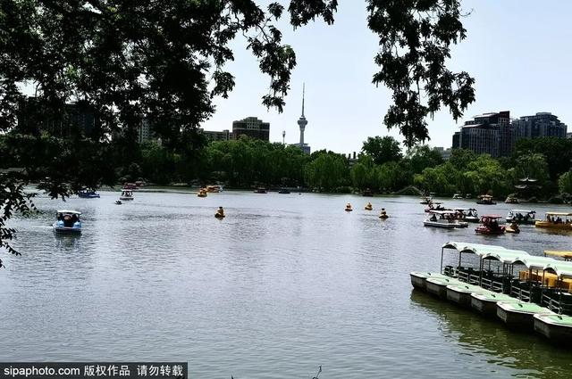 划船、赏花、遇见小动物，尽情享受初夏时光