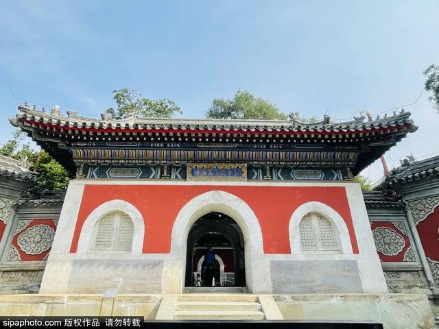 划船、赏花、遇见小动物，尽情享受初夏时光