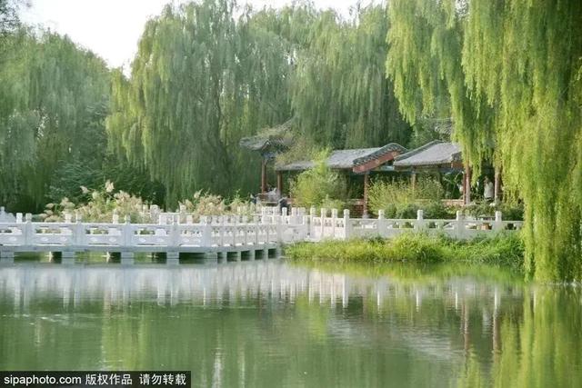 初夏游湿地，观鸟划船亲近自然