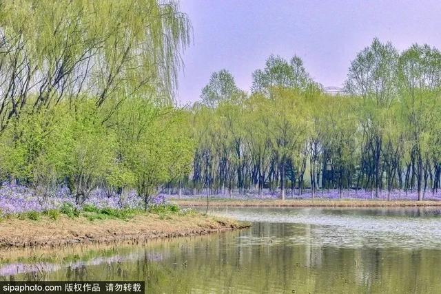 初夏游湿地，观鸟划船亲近自然