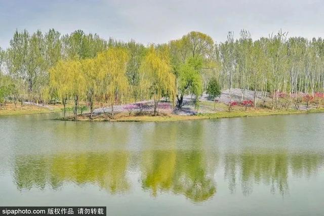 初夏游湿地，观鸟划船亲近自然