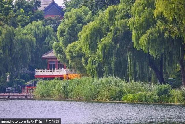 初夏游湿地，观鸟划船亲近自然