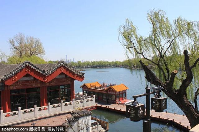 初夏游湿地，观鸟划船亲近自然