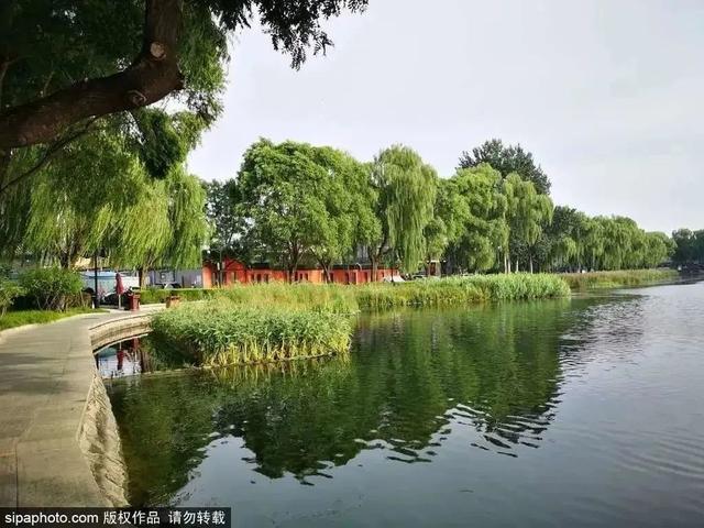 初夏游湿地，观鸟划船亲近自然