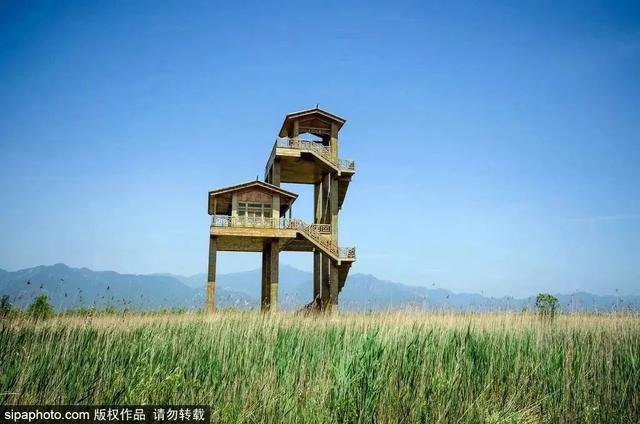 初夏游湿地，观鸟划船亲近自然