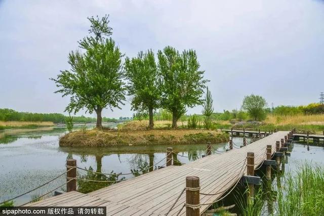 初夏游湿地，观鸟划船亲近自然