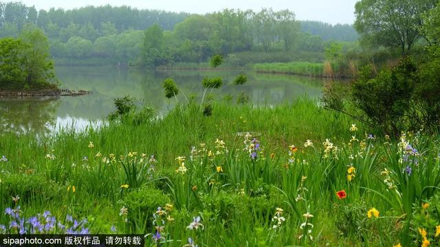 初夏游湿地，观鸟划船亲近自然