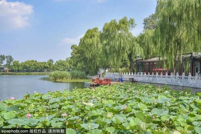 初夏游湿地，观鸟划船亲近自然