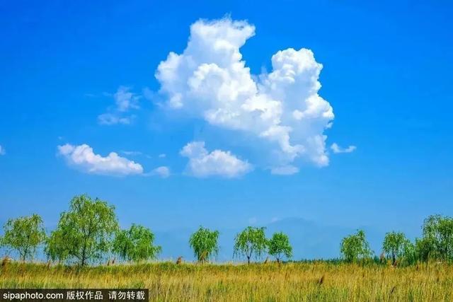 初夏游湿地，观鸟划船亲近自然