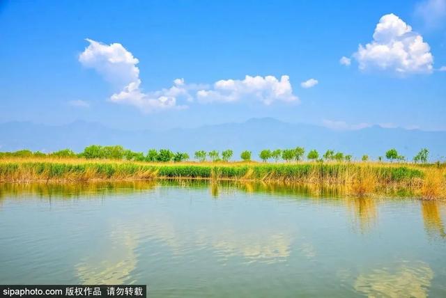 初夏游湿地，观鸟划船亲近自然