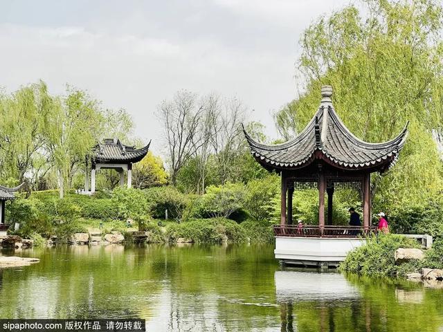 这些蔷薇“花墙”，惊艳了初夏时光