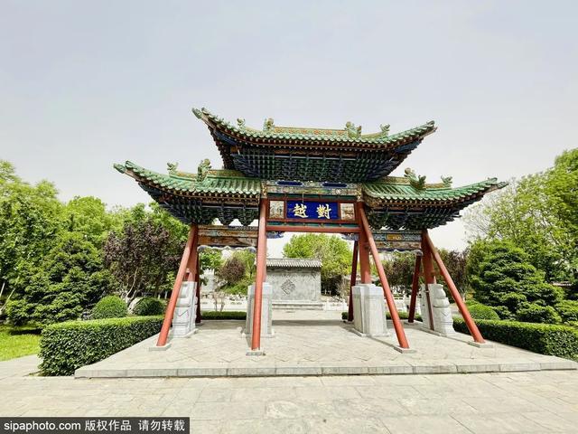 这些蔷薇“花墙”，惊艳了初夏时光
