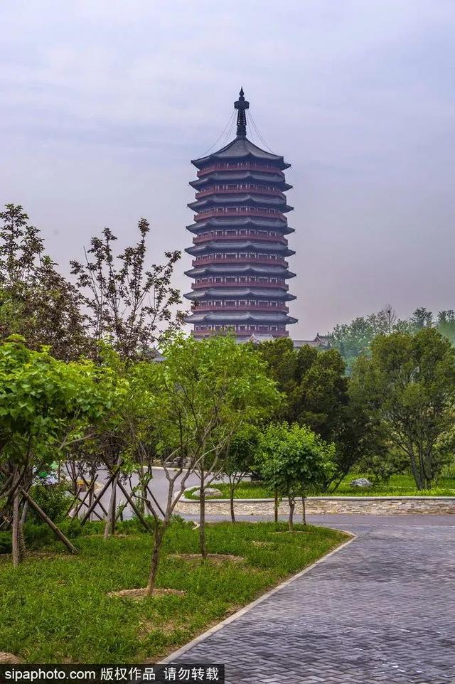 这些蔷薇“花墙”，惊艳了初夏时光