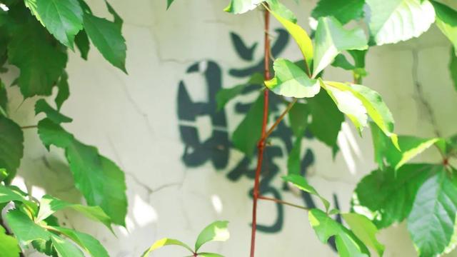 萌新密语 | 听说解谜成功的都是老师大人了