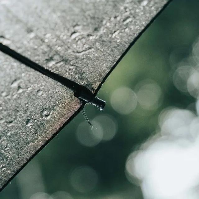 师大的雨 | 纷纷雨下，似是恍惚思园意