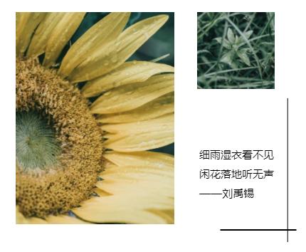 师大的雨 | 纷纷雨下，似是恍惚思园意