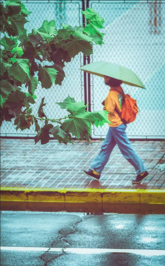 师大的雨 | 纷纷雨下，似是恍惚思园意