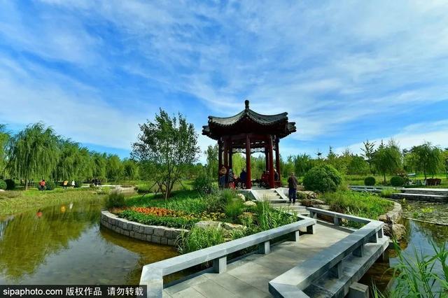 夏日森呼吸（上） | 徜徉“绿色海洋”之旅
