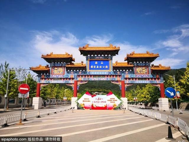 夏日森呼吸（上） | 徜徉“绿色海洋”之旅