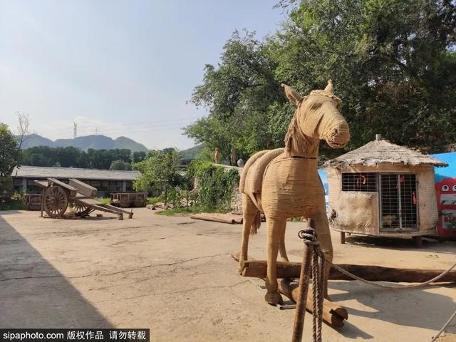 趁着好“食”光，实现“樱桃自由”吧