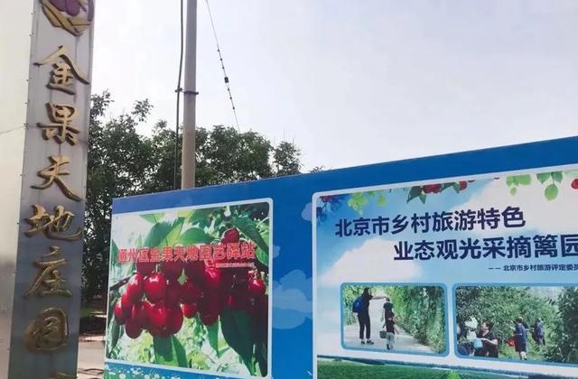 趁着好“食”光，实现“樱桃自由”吧