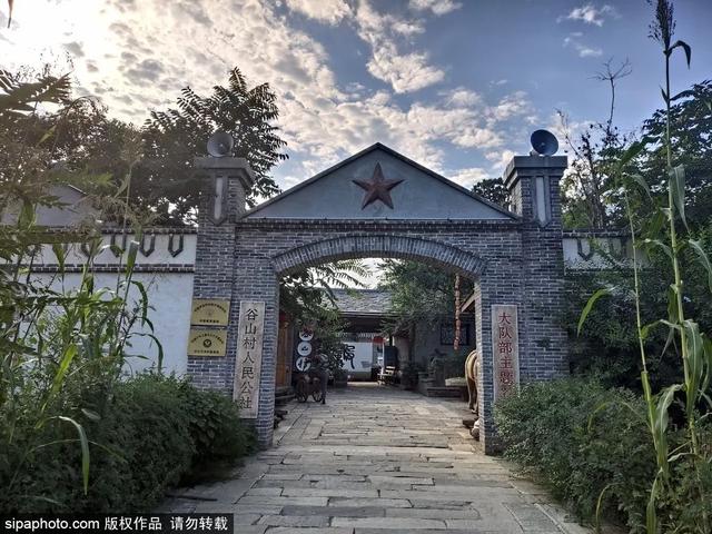 趁着好“食”光，实现“樱桃自由”吧