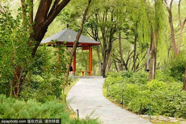 北京夏日美景已就位，开启一次骑行之旅吧