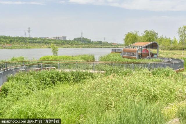 北京夏日美景已就位，开启一次骑行之旅吧