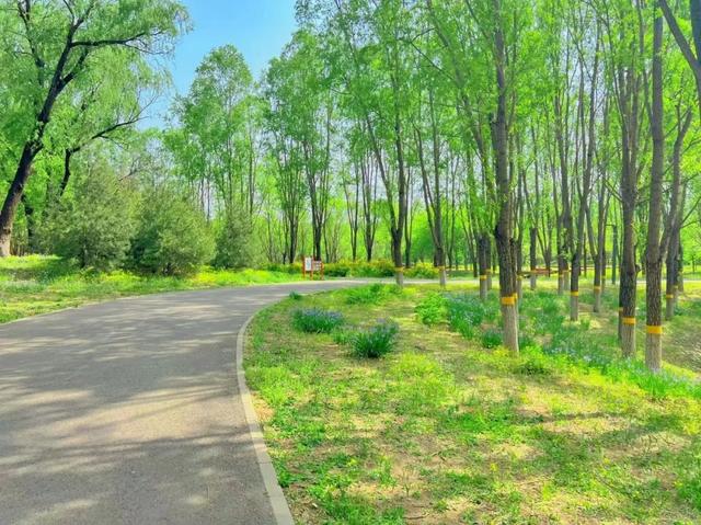 北京夏日美景已就位，开启一次骑行之旅吧