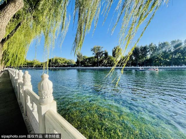 北京夏日美景已就位，开启一次骑行之旅吧