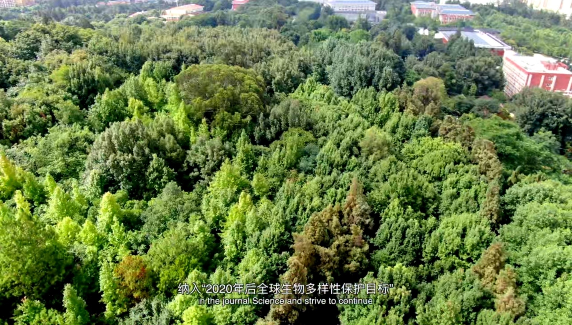微信图片_20211002101604.jpg?x-oss-process=style/w10