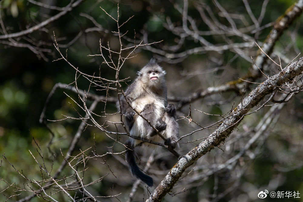 0f342d0df2384ff6a376858656aa6b3c.jpg?x-oss-process=style/w10