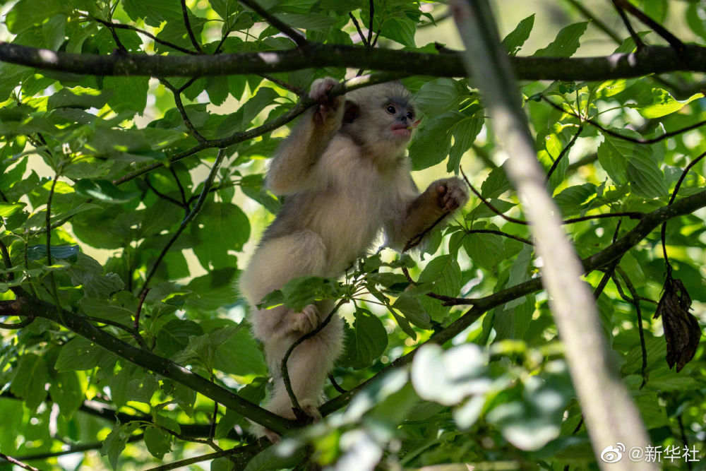 a2b6f7f1df5e40c4aa04516911b8e752.jpg?x-oss-process=style/w10