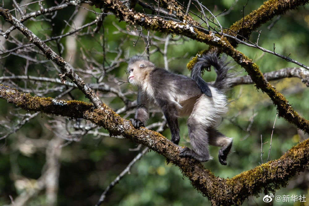 00c3bdaa5cfb405596831bc8b29eea73.jpg?x-oss-process=style/w10