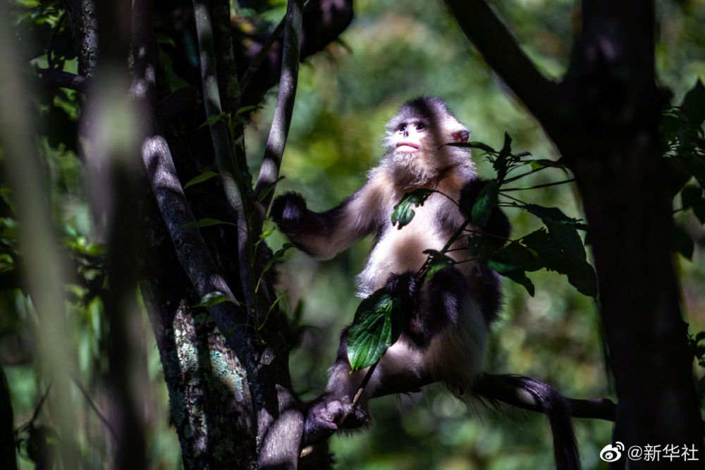 6b14c2b75338405f916961369ffbdbb2.jpg?x-oss-process=style/w10