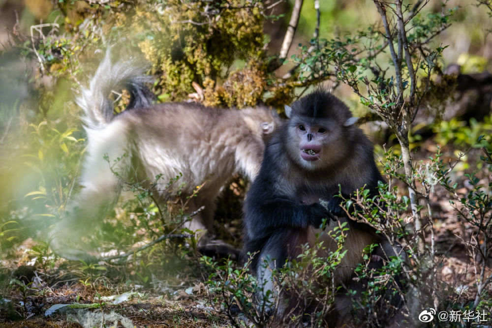 02ca18b679404515b071bf26a54875ee.jpg?x-oss-process=style/w10