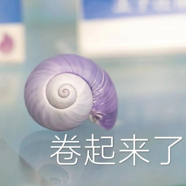藏在清华教学楼里的“动物世界”