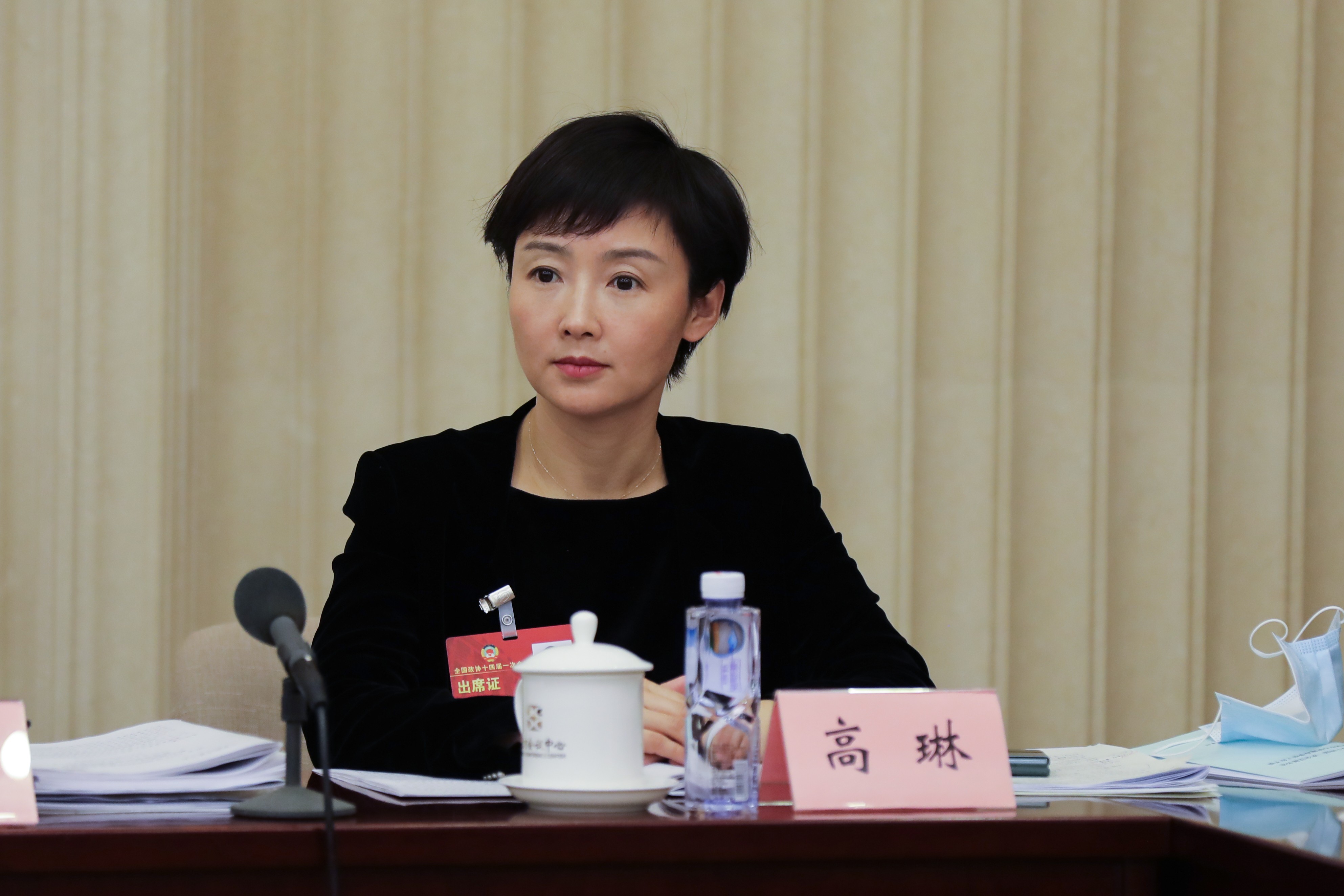高琳委员:扩大历史文化街区保护认定范围