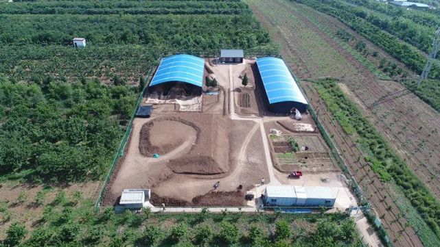 江村大墓发掘现场 图源：陕西省考古研究院