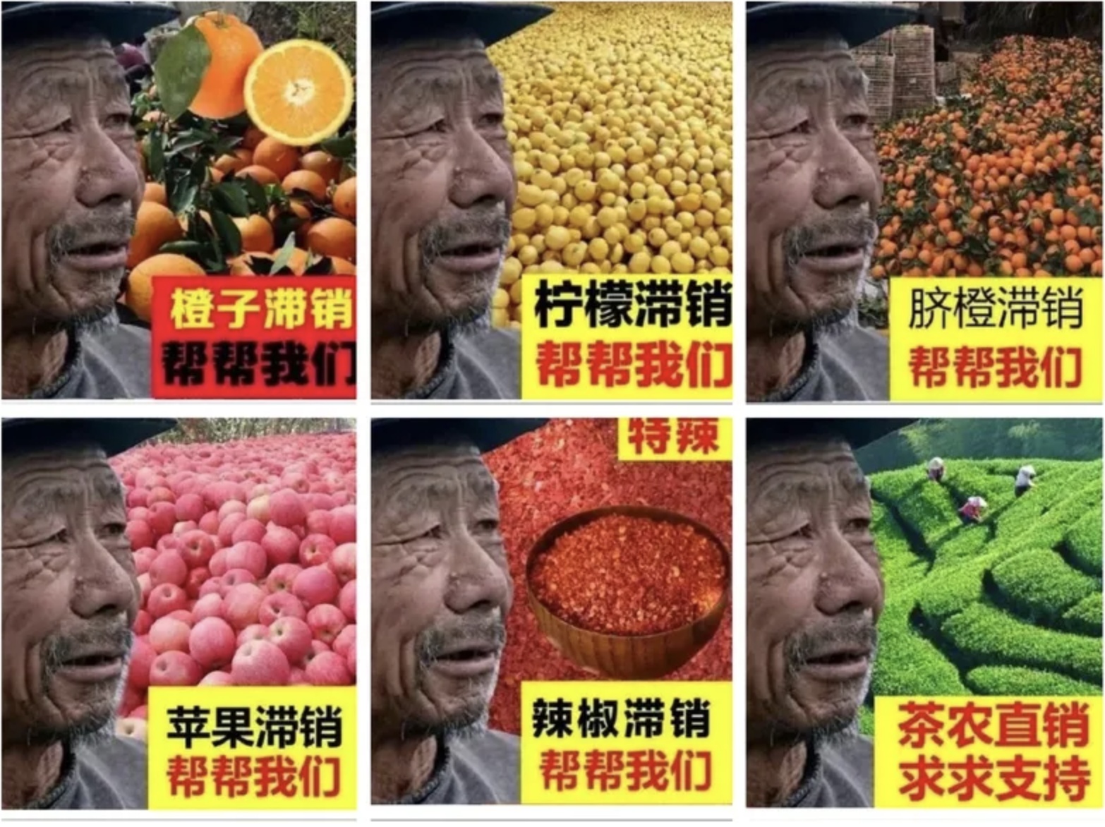 截屏2021-12-30 下午12.59.09.png?x-oss-process=style/w10