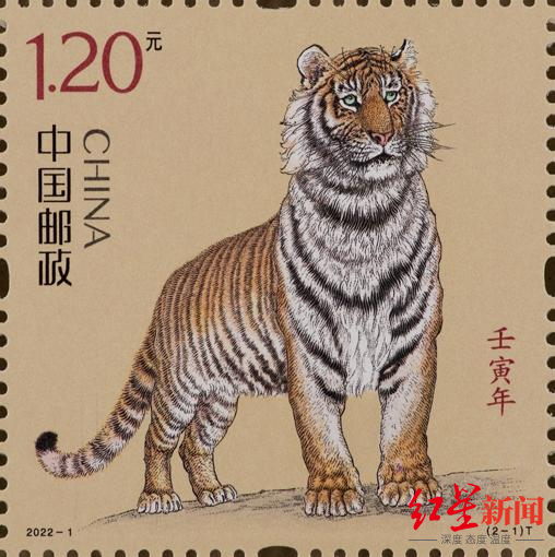 ▲中国邮政发行的虎年生肖邮票第一图