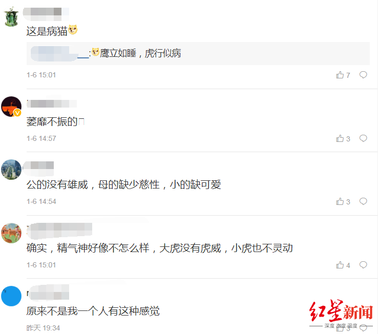 ▲网友评论