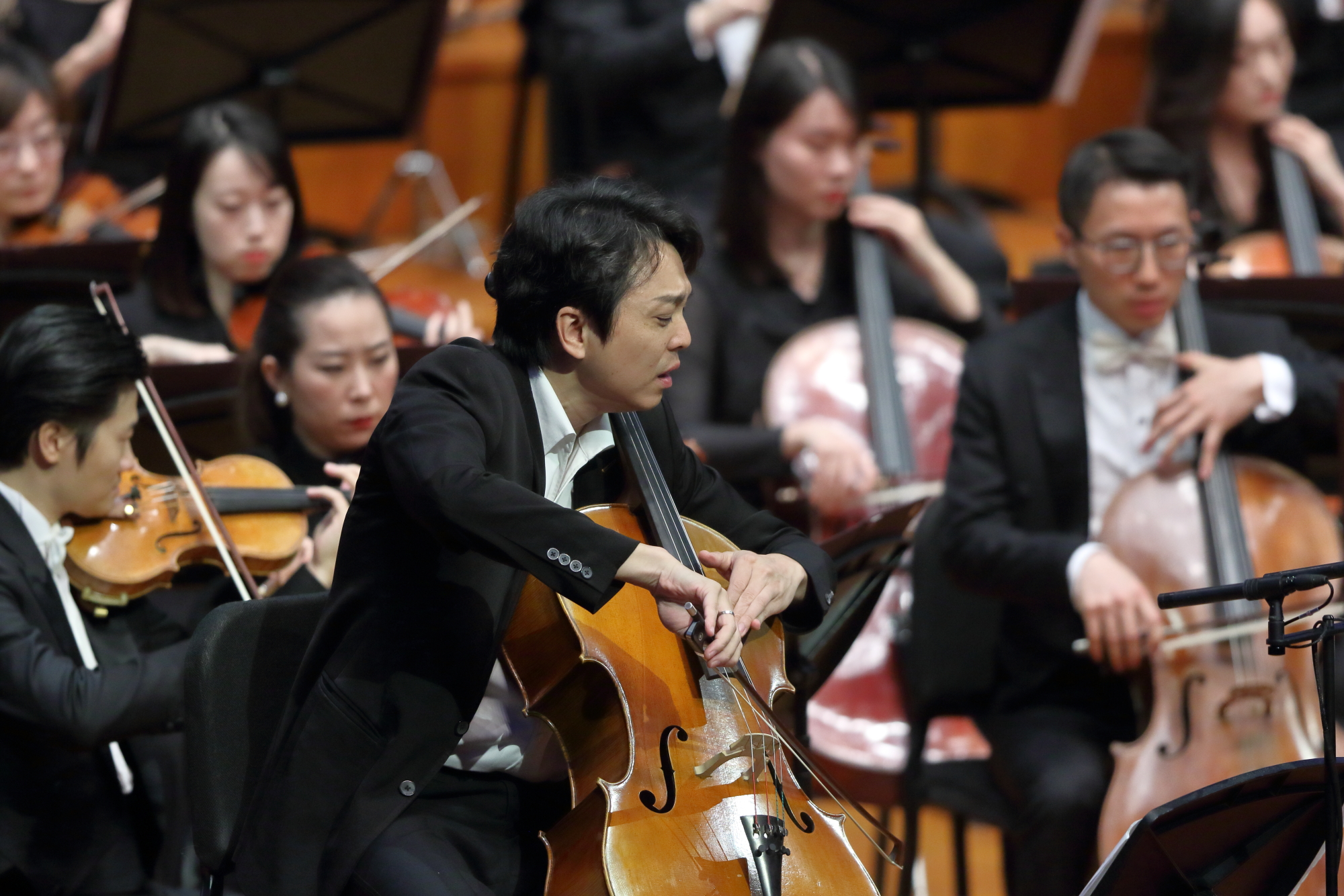 《远渡》首演,秦立巍登台,“似水流年”音乐会再掀北京周末交响热潮