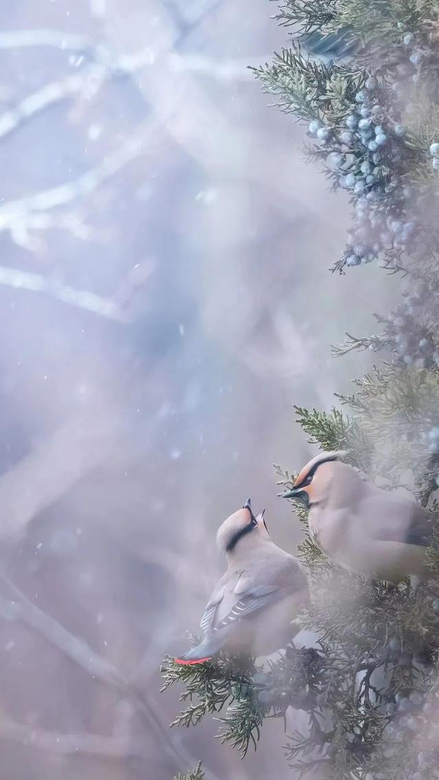 好雨知时节，当春乃发生