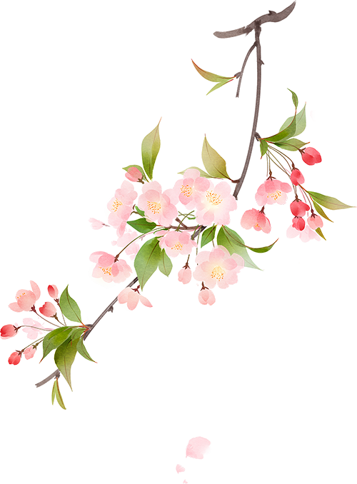 好雨知时节，当春乃发生
