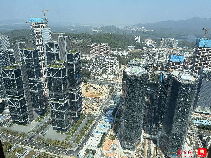 深圳打造“科创森林”,“聪明”城市让生活更美好