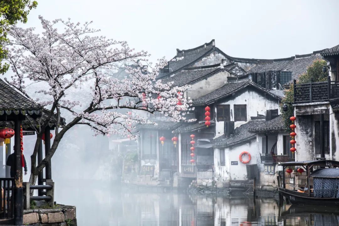 微信图片_20220218111249.jpg?x-oss-process=style/w10