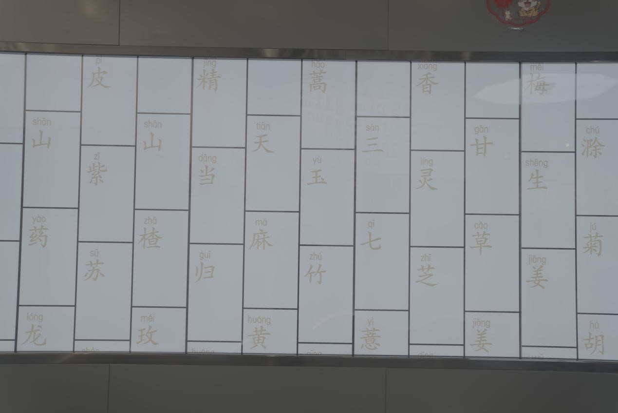 （中医药文化）