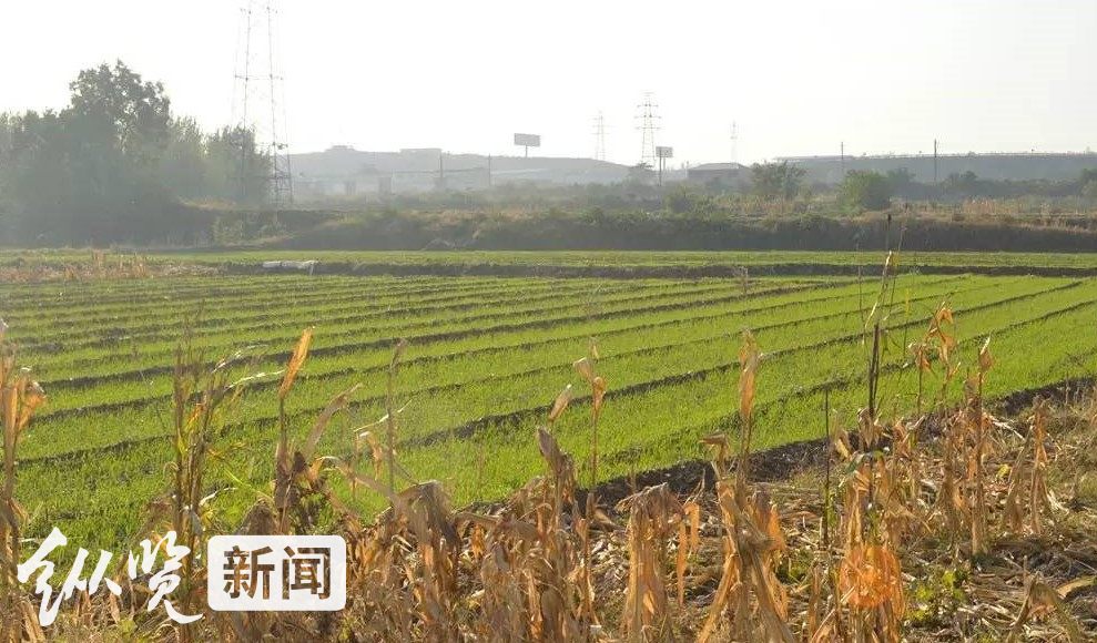 微信图片_20230129150249.jpg